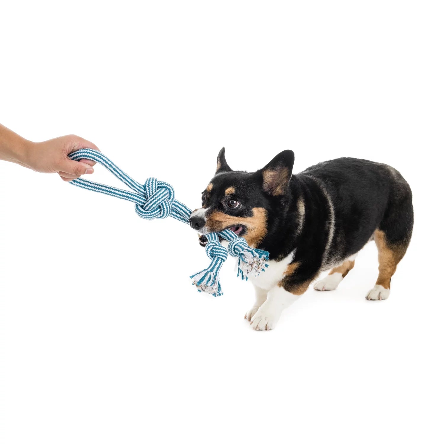 Flossy Chews 18" Extra Double-Tug Cotton-Blend Chew Dog Toy with Loop Handle, Asst Colors