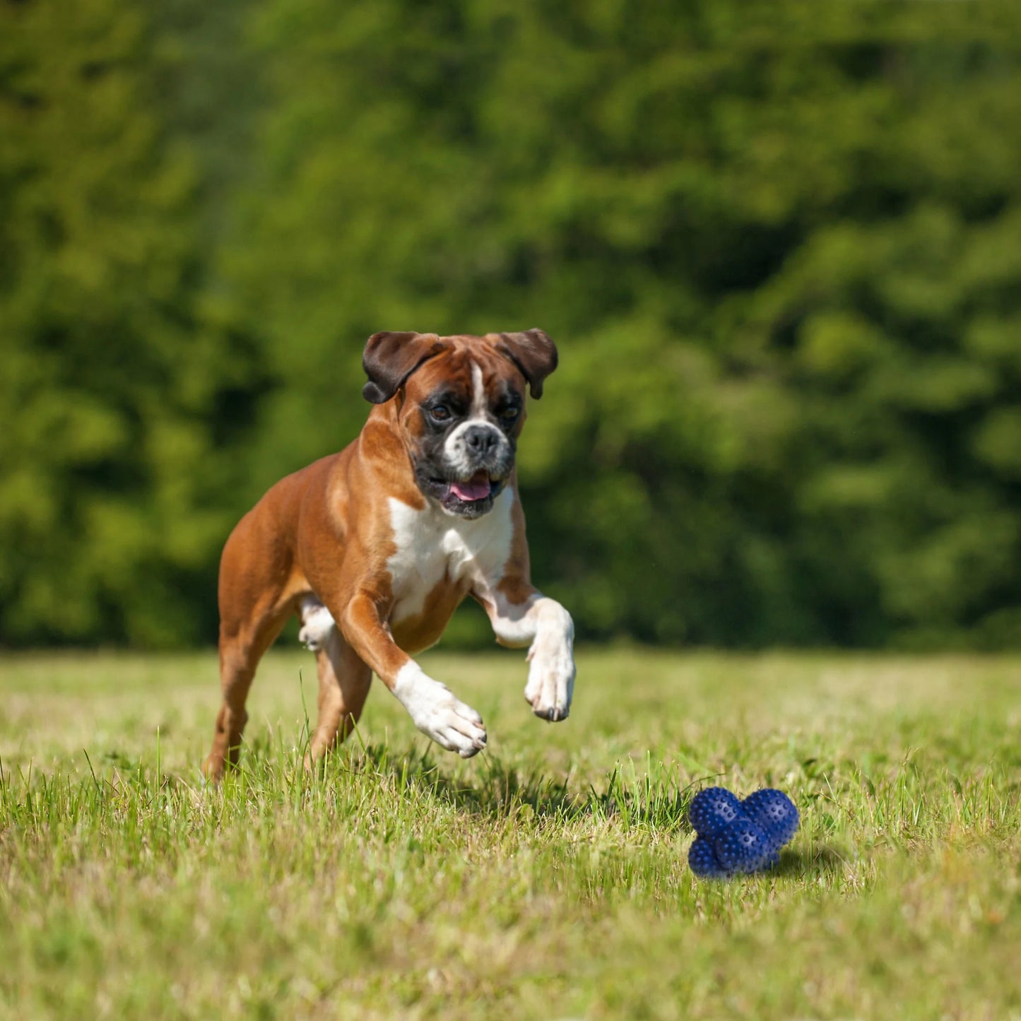 Power Play Ball for Dogs Crazy Ball Large/Giant - up to 50 Lbs. (1 Count)