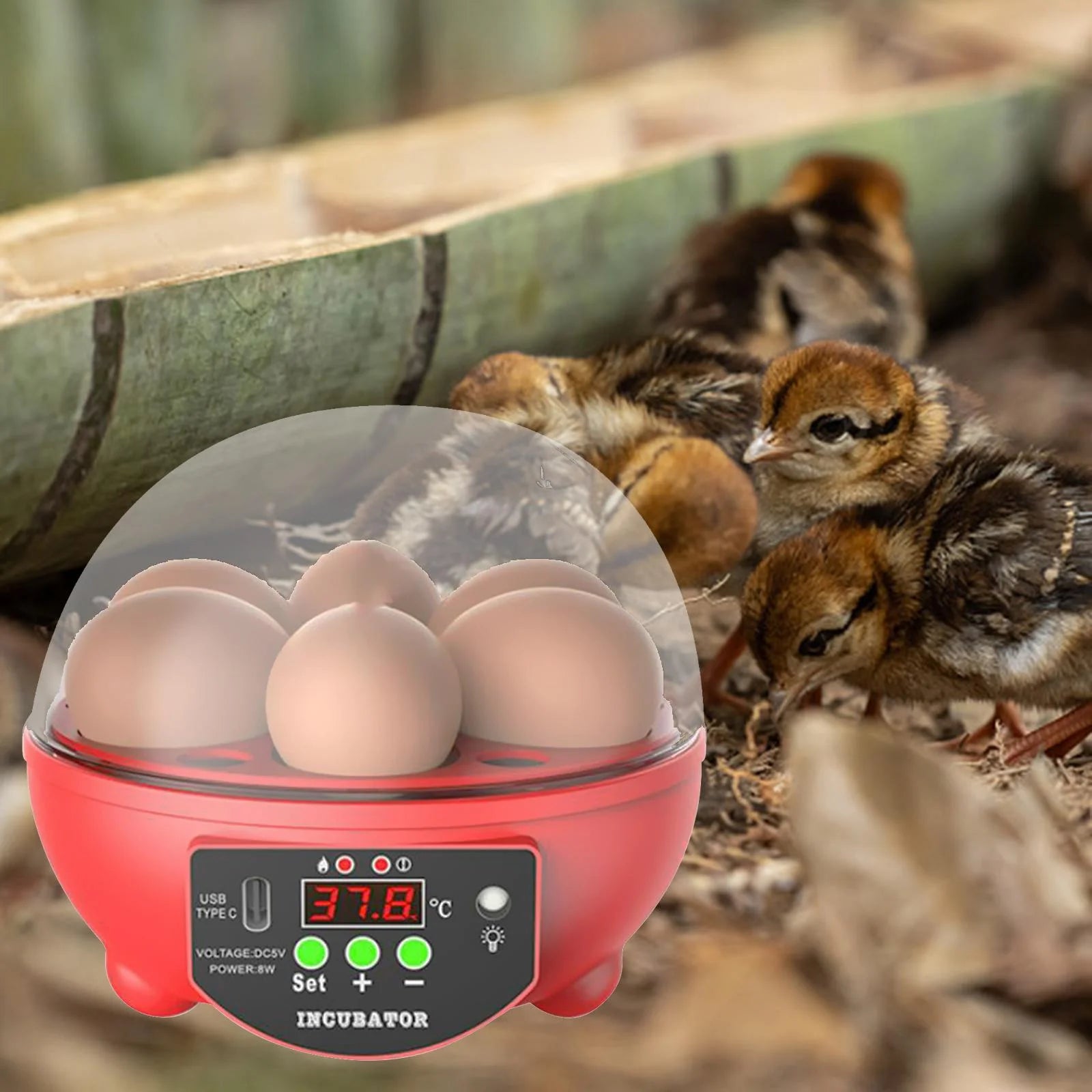 Automatic Digital Poultry Ing Machine, Automatic Egg Turner Temperature Control Small 6 Egg Incubator for Chicken Ducks Quail Red