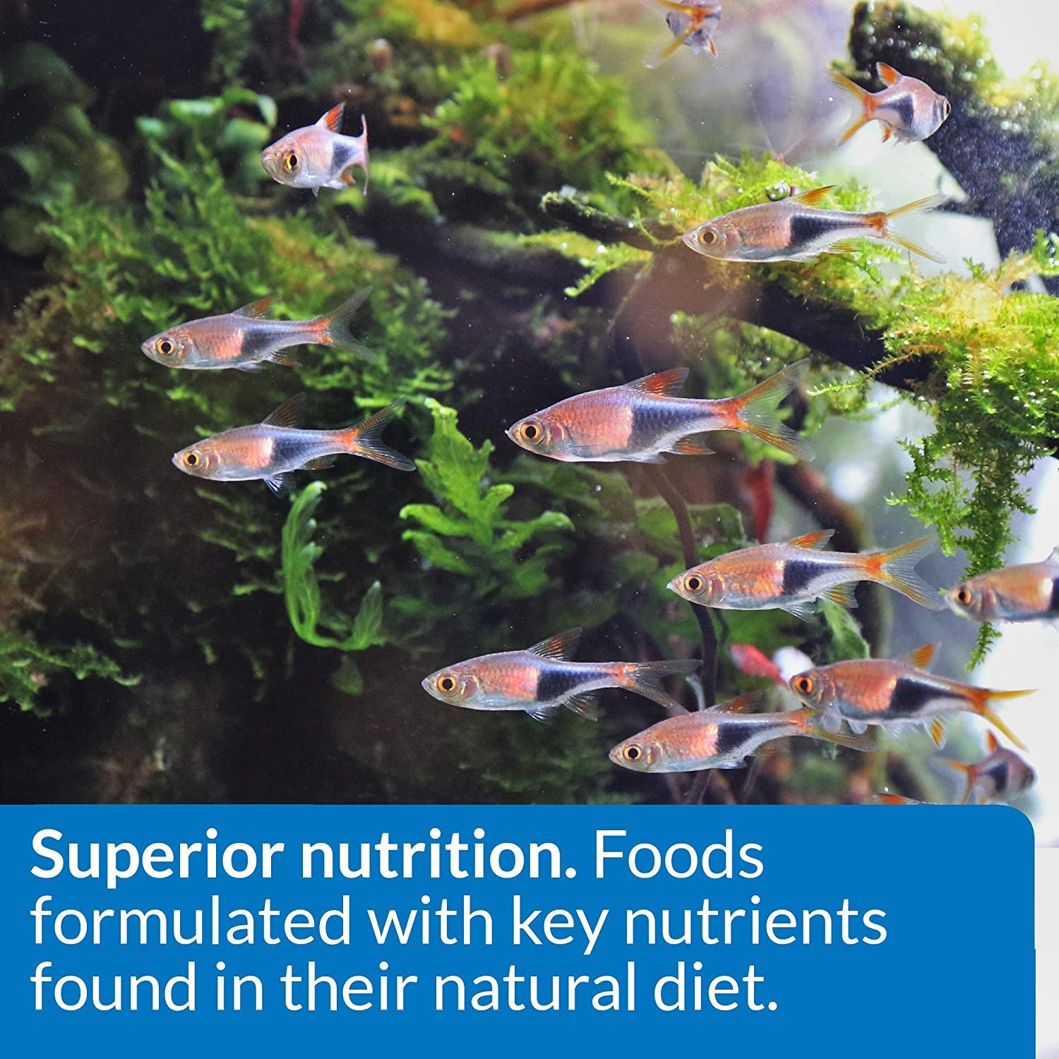 FISH FOOD FLAKES, Formulated to Help Fish More Readily Use Nutrients Which Means Less Waste and Clean, Clear Water, Feed up to Twice a Day as Much as They'Ll Eat in 5 Minutes