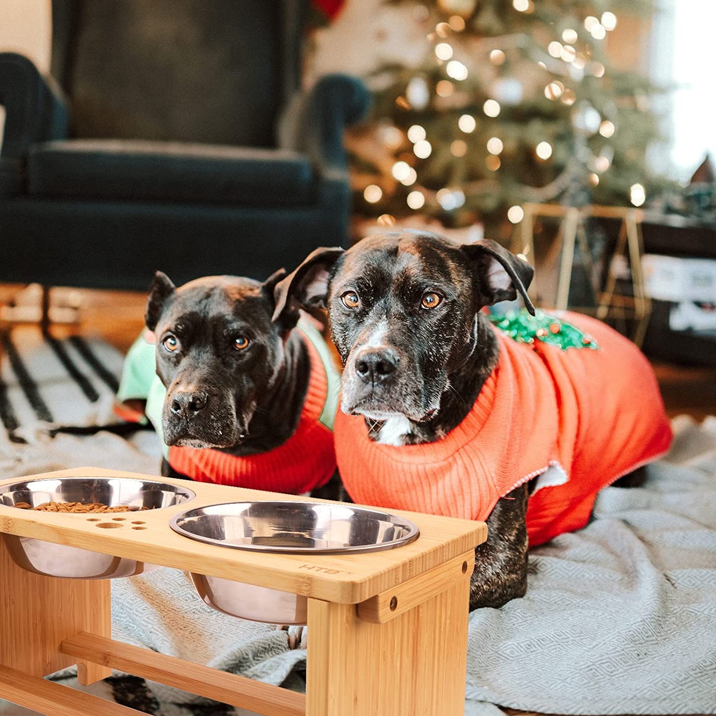 Elevated Dog Bowls,Raised Dog Bowl Stand with 2 Stainless Steel Bowls,Dog Food Water Bowls